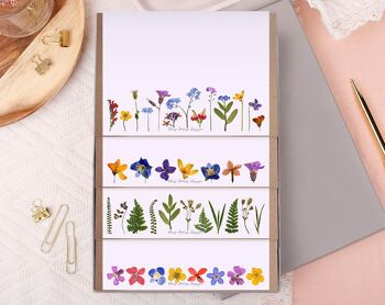 Coffret cadeau de papier à lettres A5 fleurs pressées non lignées