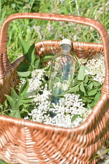 FLEURETTE Bio - Liqueur de fleur de sureau et reine-des-prés - en cocktail ou pure digestif - 50 cl + étui 3