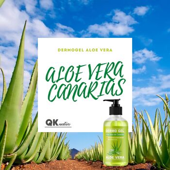 BIO DERMO GEL ALOE VERA DES ÎLES CANARIES - 500ml 2