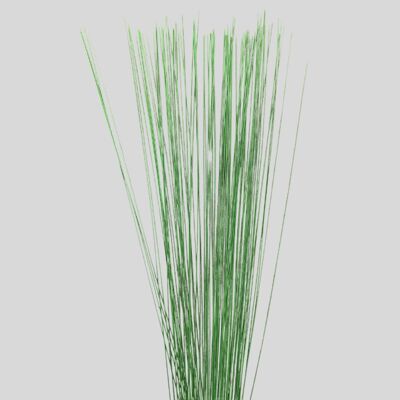 Pack of 50 - 20 x 22mm Gauge Green Florist Wire