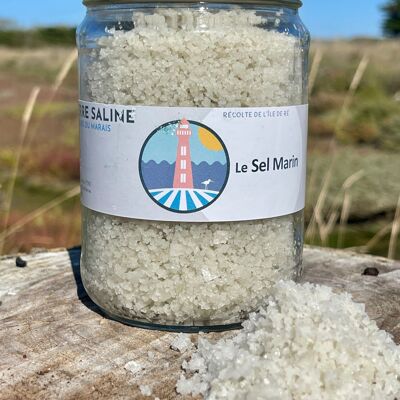 Sea salt from Ile de Ré 400 g