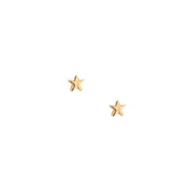 Mini star studs - 14k gold vermeil