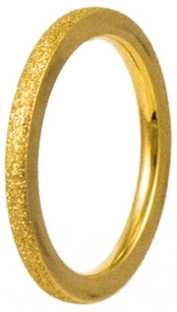 Anneau de prise à l'intérieur de 2 mm en acier doré et diamant 2