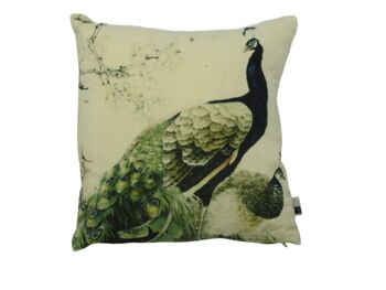 Coussin Velours Scope 50x50cm