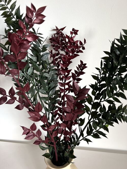 Dried Ruscus - 3 stems - 45cm - bordo