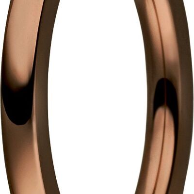 Inserte el anillo dentro de acero marrón de 2 mm
