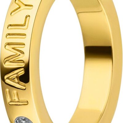 Ring inside 4mm cambered polished Family gold