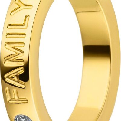 Anello interno 4mm bombato Family gold Family