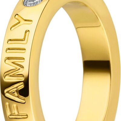 Ring inside 4mm cambered polished Family gold