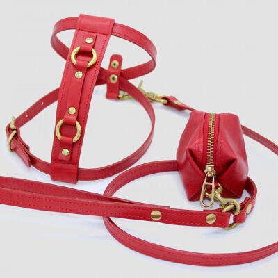 Red leash 100cm