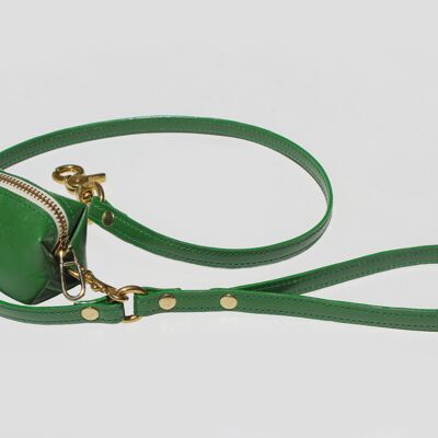 Green leash 100cm
