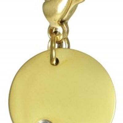 Charm Cosmopolitan plate with a stainless steel gold stone