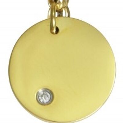 Charm Cosmopolitan plate with a stainless steel gold stone