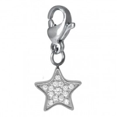 Charm Stella cosmopolita in acciaio inox