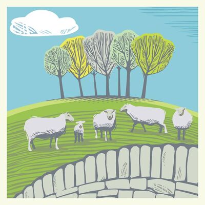 CC04 SHEEP ONE GREETING CARD