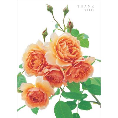 DA09 THANK YOU GREETING CARD