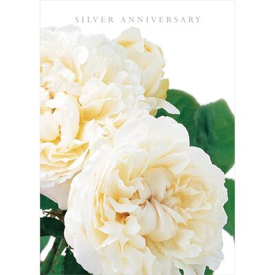 DA13 SILVER ANNIVERSARY GREETING CARD