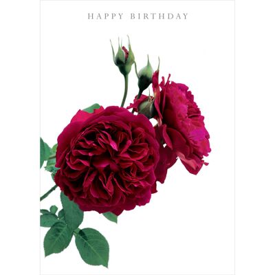 DA28 HAPPY BIRTHDAY GREETING CARD