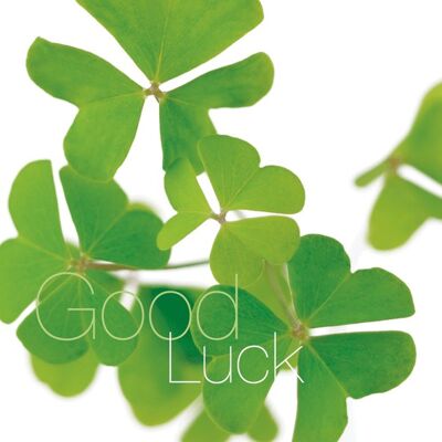 FFGL17 GOOD LUCK GREETING CARD