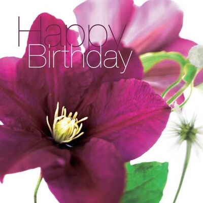 FFHB02 HAPPY BIRTHDAY GREETING CARD