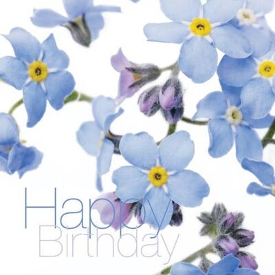 FFHB06 HAPPY BIRTHDAY GREETING CARD