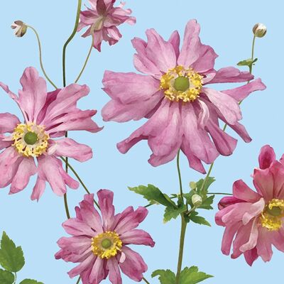 FG01 PINK JAPANESE ANEMONES GREETING CARD