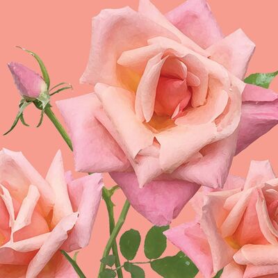 FG05 PEACH ROSES GREETING CARD