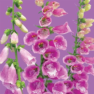 FG17 FOXGLOVES GREETING CARD