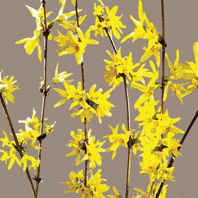 FG20 FORSYTHIA GREETING CARD