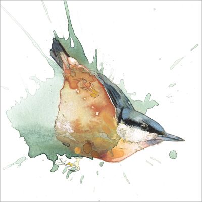 LA07 Nuthatch GREETING CARD