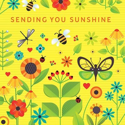 NR12 SENDING YOU SUNSHINE GREETING CARD
