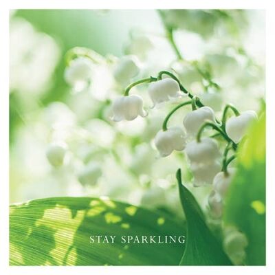 P16 LILY OF THE VALLEY (STAY SPARKLING) GREETING CARD