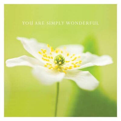 P18 ANEMONE (YOU ARE SIMPLY WONDERFUL) GREETING CARD