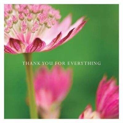 P20 ASTRANTIA (THANK YOU FOR EVERYTHING) GREETING CARD