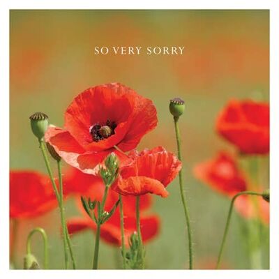 P30 POPPIES (SO VERY SORRY) GREETING CARD