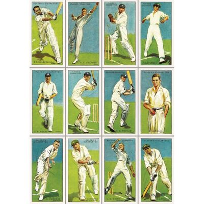 VC38 CRICKET GREETING CARD