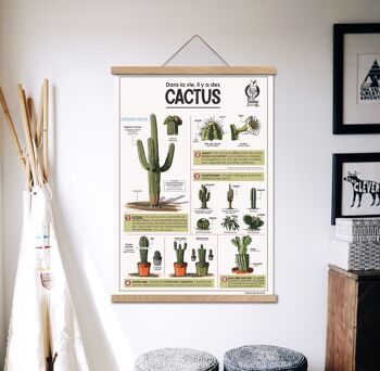 Affiche - Cactus