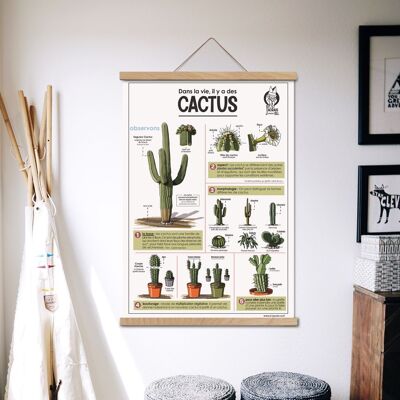 Affiche - Cactus