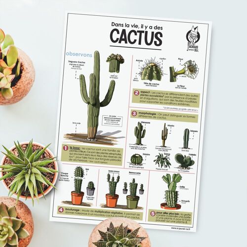 Carte - Cactus