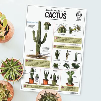 Carte - Cactus