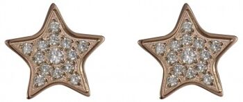 Boucles d'oreilles grandes étoiles avec zircone rose 1