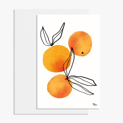 Postkarte Obst - Clementine