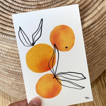Carte postale Fruit - Clémentine 2