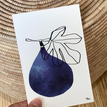 Carte postale Fruit - Figue 2