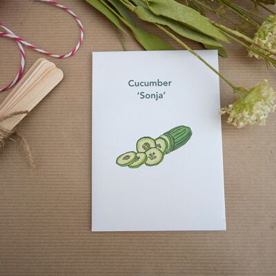 Cucumber Sonja Seeds (g8nm06)