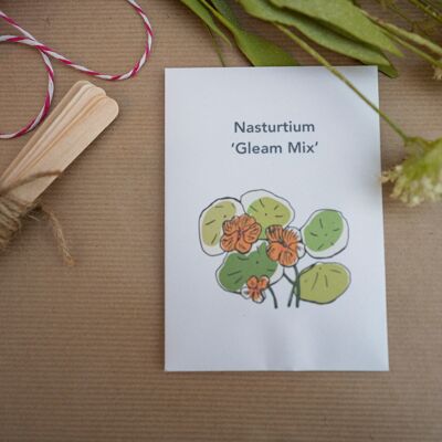 Nasturtium Gleam Mix Seeds (g8nm07)