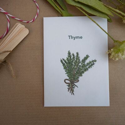 Thyme Seeds (g8nm08)