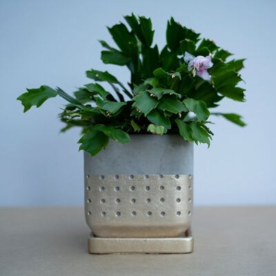 Teraki Gold Plant Pot (g8nm15)