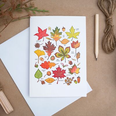 Autumn Leaves Card - 1 (g8nm96)