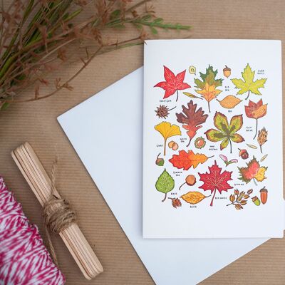 Autumn Leaves Card - 10 (g8nm98)